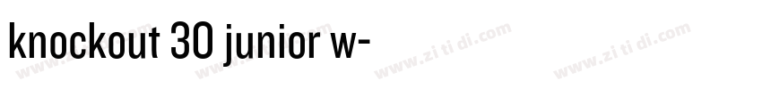 knockout 30 junior w字体转换